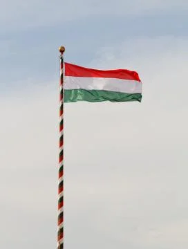 Hungarian flag Stock Photos