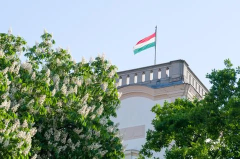 Hungarian Flag in the Tower Stock Photos