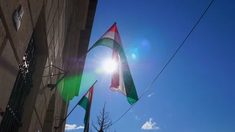 Hungarian flag on the wall at Buda castle hill. Stock Footage 129079044