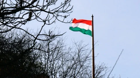 Hungarian flag waving in the wind Stock Footage 105428602