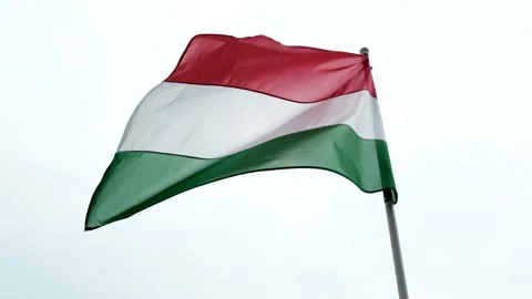 Hungarian flag waving in wind. Stock Footage 157027991