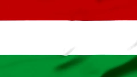 Hungarian flag waving in the wind with vibrant colors Video stock 343574080