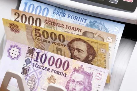 Hungarian forint in the counting machine Stock Photos