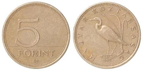 Hungarian Forint five Stock Photos