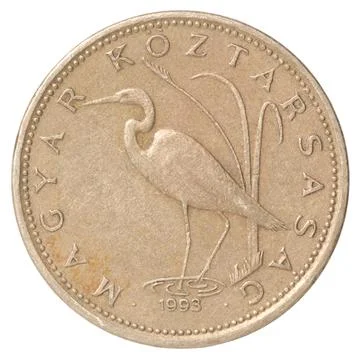 Hungarian Forint five Stock Photos