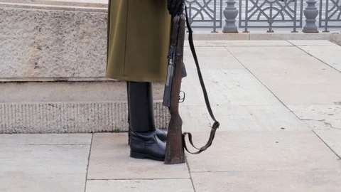 Hungarian guard stands Stock Footage 82512510