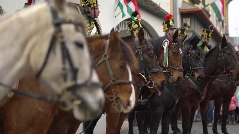 Hungarian hussars at a memorial Stock Footage 73493704