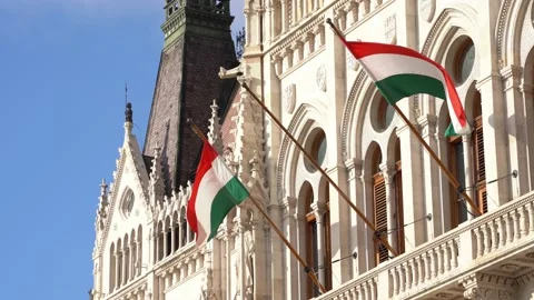 Hungarian National flags 스톡 동영상 232580238