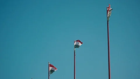 Hungarian national flags in the wind Stock Footage 74238942