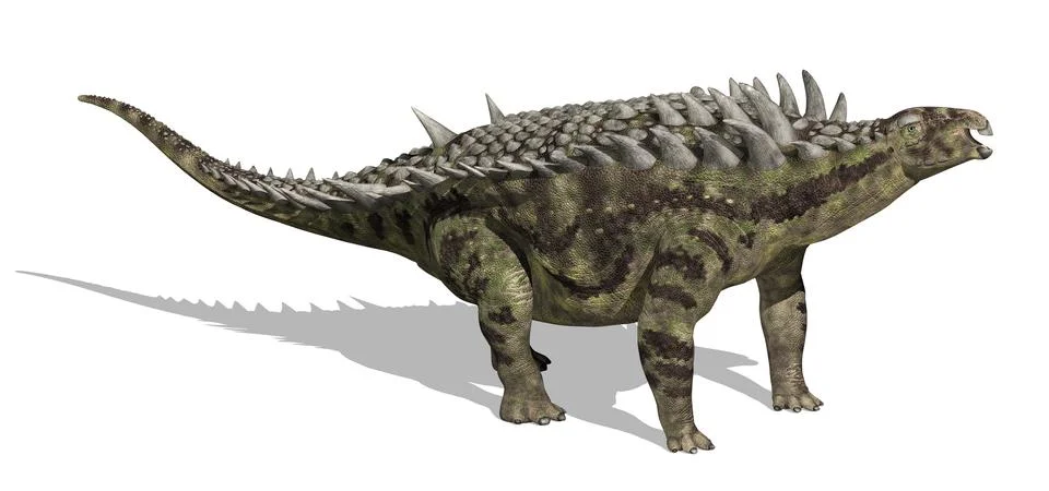 Hungarosaurus Stock Illustration