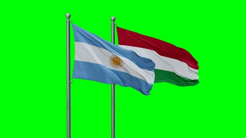 Hungary and Argentina two flags Stock Footage 289632652