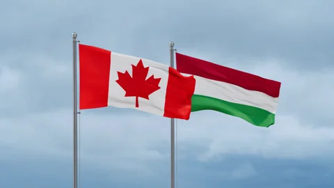 Hungary and Canada flag Video stock 252023817