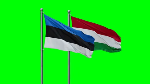 Hungary and Estonia two flags Video stock 293207424