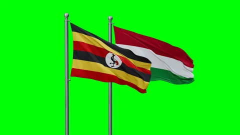 Hungary and Uganda two flags Stock Footage 292823272