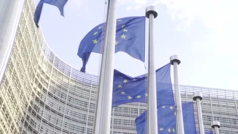 Hungary: EU should return to free trade, negotiation on Chinese EVs Video stock 287651074
