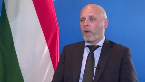 Hungary: EU tariffs on Chinese EVs are "misguided protectionist action" 库存影片 290137337