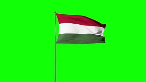 Hungary flag 3d animation for your next project, smooth wave motion Stock Footage 247716627
