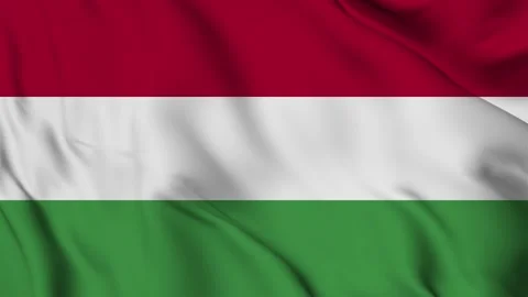 Hungary flag animation for background in 4k. Happy independence day Stock Footage 250368275