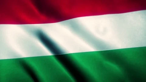 Hungary Flag Blowing in the Wind Video stock 76091305