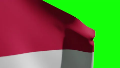 Hungary Flag Close Stock Footage 134853377