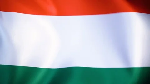 Hungary Flag Flapping Stock Footage 118966107