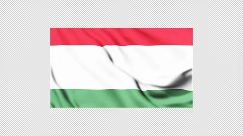 Hungary flag fluttering in the wind Stock Footage 310222114
