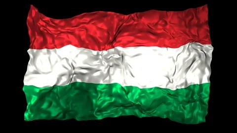Hungary flag Stock Footage 110815120