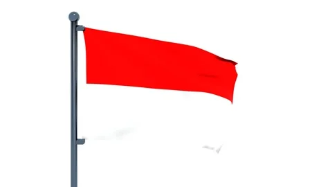 Hungary Flag Stock Footage 150198070