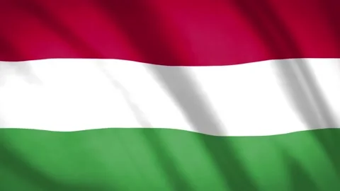 Hungary Flag  Stock Footage 188126149