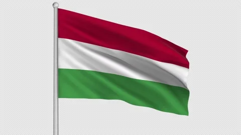 Hungary Flag Stock Footage 208866839