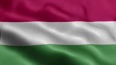 Hungary flag Front Stock Footage 318665795