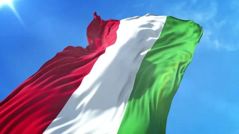 Hungary Flag Low Angle View Stock Footage 295691900