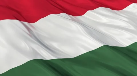 Hungary flag Seamless  Vídeo Stock 48644139