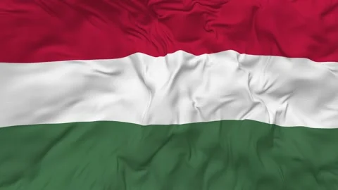 Hungary Flag Seamless Looping Background Waving Slow Motion Stock Footage 233819991