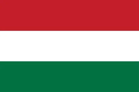 Hungary flag vector Illustrazione stock