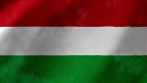 Hungary flag waving background with real fabric texture 動画素材 291916012