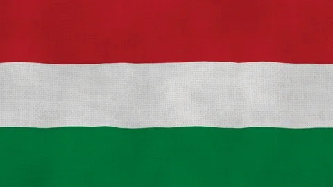 Hungary flag waving Stock Footage 102593183