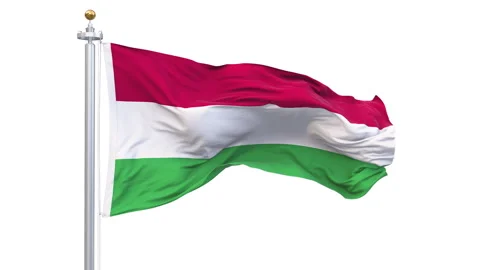 Hungary flag waving looping with transparent background. Vidéo 315336325