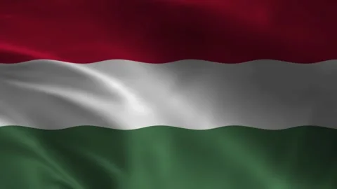 Hungary flag waving red white green fabric background 库存影片 335560525