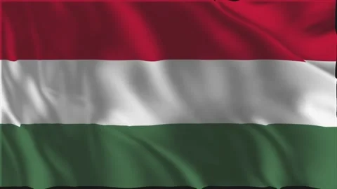 Hungary flag waving slowly Video stock 337646007