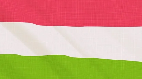 Hungary flag waving in the wind. Background with rough textile texture Stock Footage 83853513