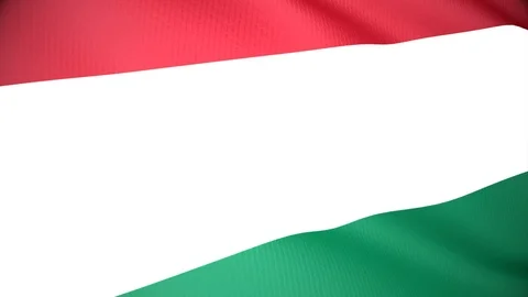 Hungary Stock Footage 86395019