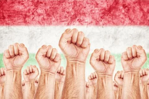 Hungary labour movement, workers union strike Stock Illustration