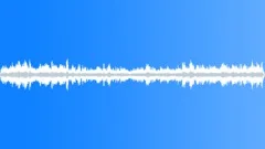 HUNGARY, RESTAURANTSound Effect