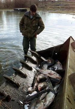 Hungary river Polution 02 Feb 2000 Stock Photos
