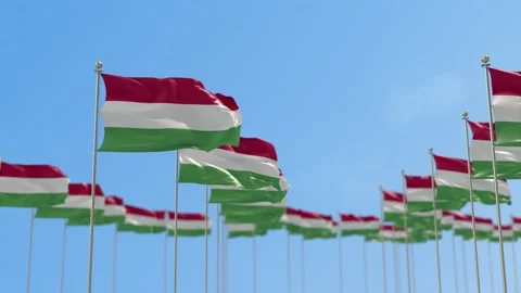 Hungary Row Of Flags 3D Animation Stock-Footage 148697777