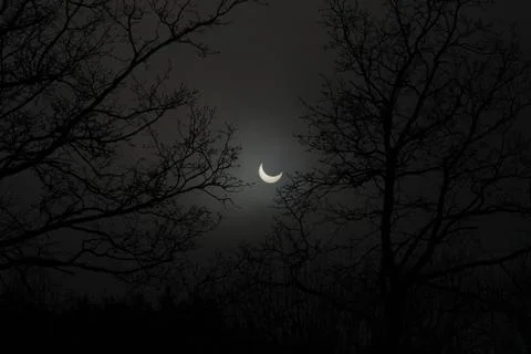 Hungary Solar Eclipse - Jan 2011 Stock Photos