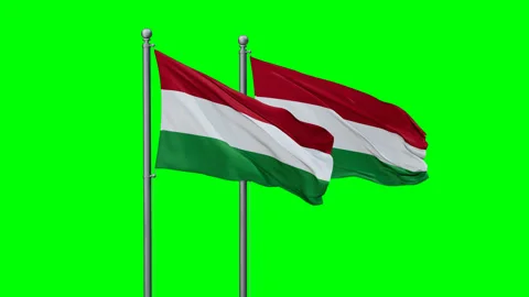 Hungary two flags Stock Footage 291184170