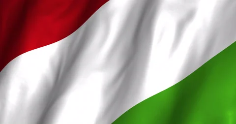 Hungary waving flag 4K Stock Footage 50563542