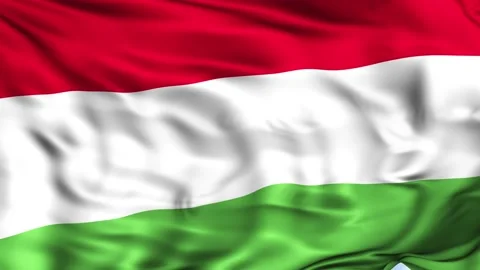 Hungary Waving Flag Background Stock Footage 204131529